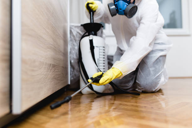 Best Pest Control for Businesses  in Dewitt, AR