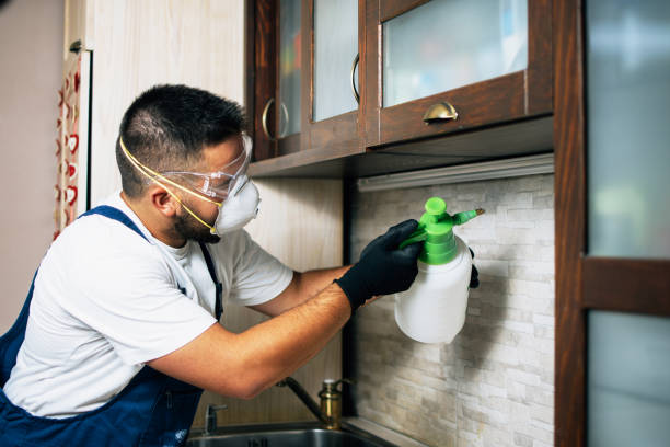 Best Rat Extermination Near Me  in Dewitt, AR