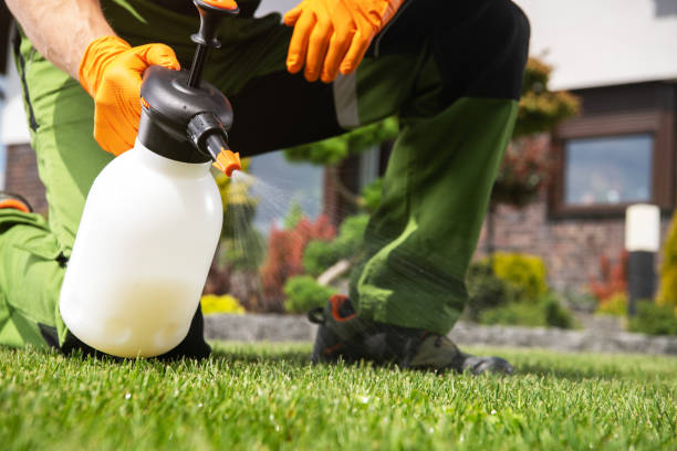 Best Pest Prevention Services  in Dewitt, AR