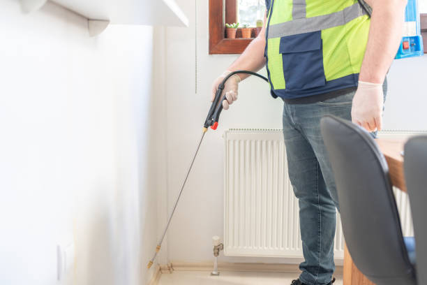 Reliable Dewitt, AR Pest Control Solutions