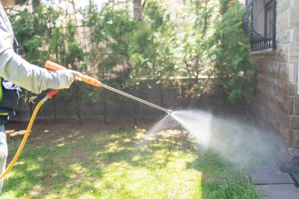 Best Local Pest Control Services  in Dewitt, AR
