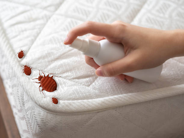 Pest Control for Restaurants in Dewitt, AR